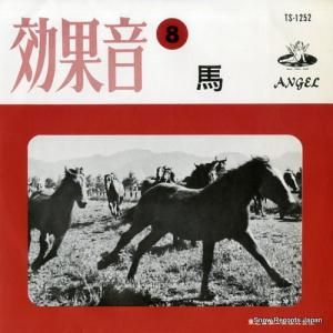 ̲  TS-1252