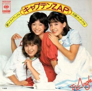 ȥ饤󥰥 ץƥzap 06SH399
