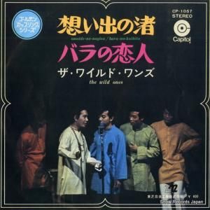 磻ɡ ۤФν CP-1057