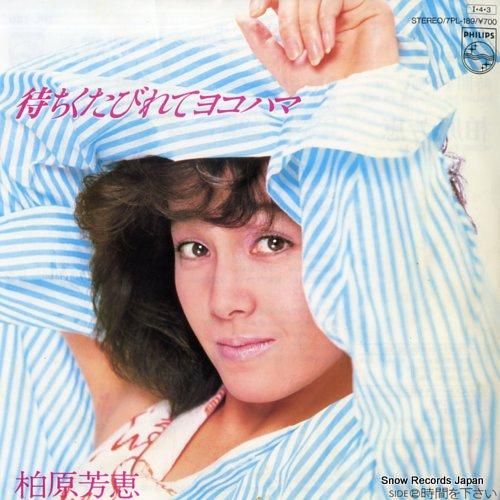 柏原芳恵 待ちくたびれてヨコハ