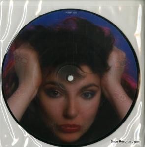 ȡ֥å the big sky KBP4