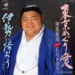 뵬 ᤰ갦 DSK-223