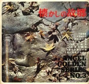 󥼥롦ǥ󡦥꡼ θζ NAG-15