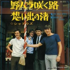 ɥ Х˺餯ϩ OR-1813