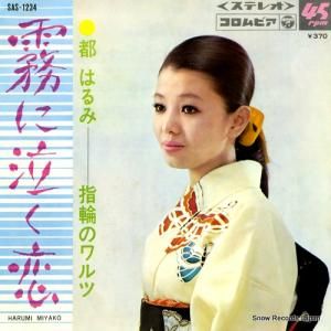 ԤϤ ̸˵㤯 SAS-1234