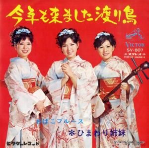 ひまわり姉妹 今年も来ました渡り鳥 SV-807