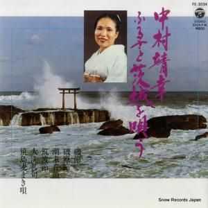 ¼ դ뤵ȰΤ FE-3034