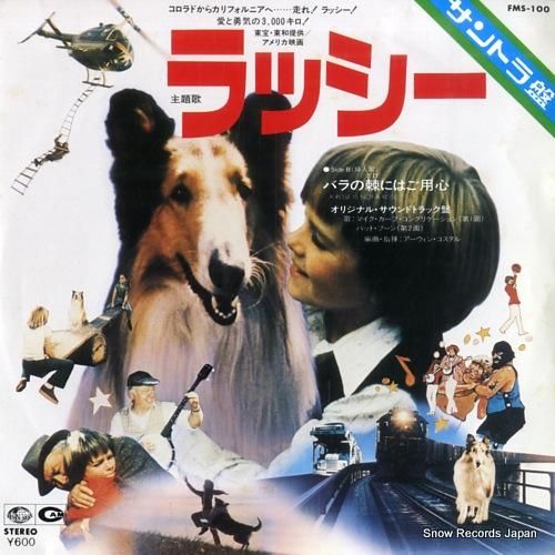 マイク・カーブ・コングリゲイシ