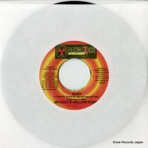 ߥۥݥ burn DSRASIDE-2544