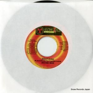 ӡˡޥ ziggy zung DSRASIDE-2545