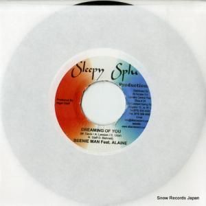 ӡˡޥ dreaming of you DSRASIDE-442 / DSR-ASIDE-1001