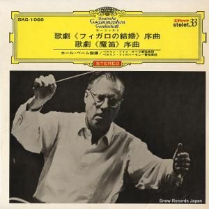 롦١ ⡼ĥȡη֥եη뺧׽ SKG-1066