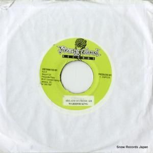 ꥢ breath of fresh air DSRASIDE-1241