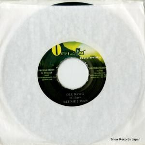 ӡˡޥ ole dawg DSRASIDE-2210