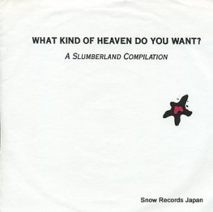 V.A what kind of heaven do you want? DRYL001