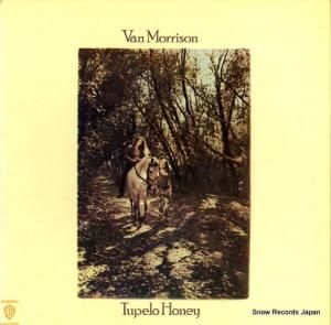 󡦥꥽ ƥڥϥˡ P-8179W