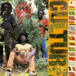 㡼 󥿡ʥʥ롦ϡ VIP-6946