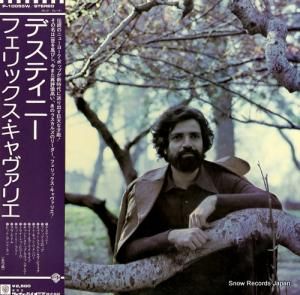 եåꥨ ǥƥˡ P-10055W