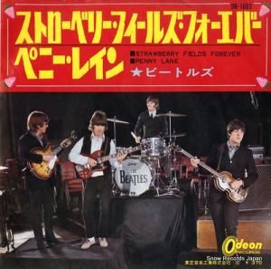 ӡȥ륺 ȥ٥꡼ե륺եС OR-1685