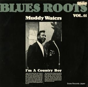 ޥǥ blues roots vol.11 6.24801