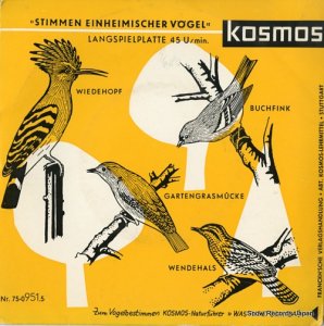 CLAUS FENTZLOFF serie: stimmen einheimischer vogel 75-0951.5