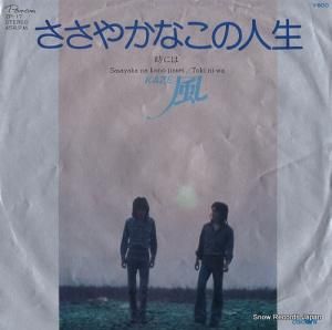  䤫ʤο ZP-17