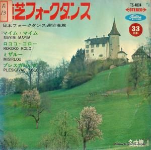 ȥ꡼ǥ ǥե󥹡̾ӣ TS-4004