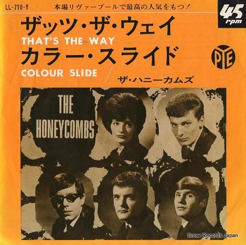 貴重レア プロモ盤 レコード 2枚組〔 ケツメイシ 花鳥風月
