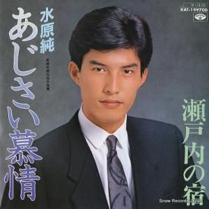 帶  KAT-19