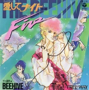 BEEHIVE fire CH-119
