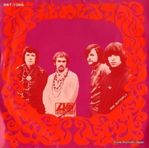 󡦥Хե饤 ᤿ DAT-1066