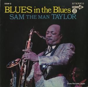 ࡦƥ顼 ֥롼󡦥֥롼 DXW-3