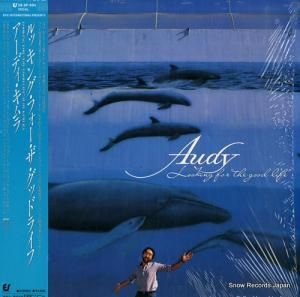 ǥ å󥰡եåɥ饤 28.3P-594