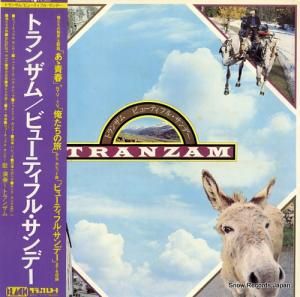 ȥ󥶥 ӥ塼ƥե롦ǡ BAL-1016