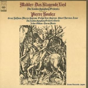 ԥ롦֥졼 ޡ顼òβΡ SONC10194