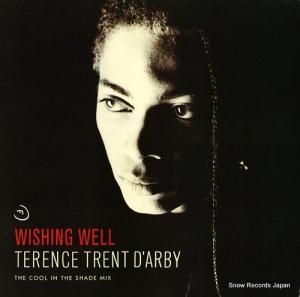 ƥ󥹡ȥȡӡ wishing well 44.07543