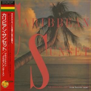 åɥȥ󡦥ǥ ӥ󡦥󥻥å C25Y0202