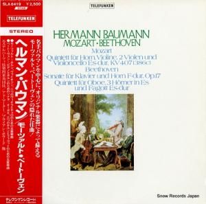 إޥ󡦥Хޥ ⡼ĥȡ١ȡ SLA6419