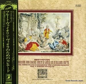 ߥ롦ǥܥ ١ȡ󡧥ե롼ȡ󡦥ΤΥʡ AA-9659