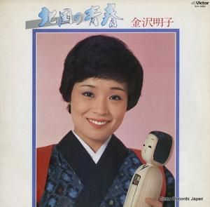  ̹Ľ SJV-2083