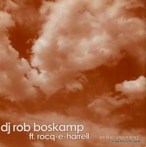 ֡ܥ in the evening NWI057MIX2006