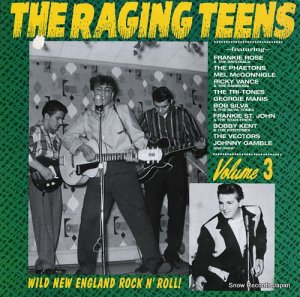 V/A the raging teens volume 3 ED-228