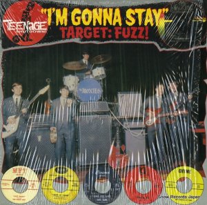 V/A i'm gonna stay (target:fuzz!) T.S.6613