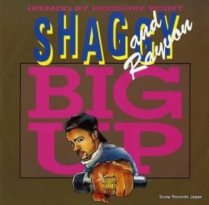 SHAGGY AND RAYON big up CRT120R