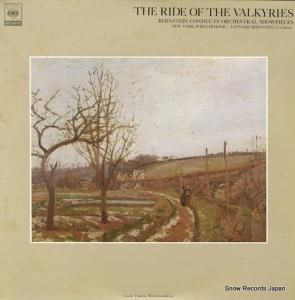 ʡɡС󥹥 ʡڷ֥륭塼פ륭塼ε FCCA504