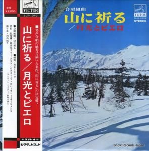  羧ȶʡֻ˵ SJX-1010
