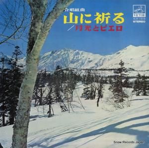  羧ȶʡֻ˵ SJX-1010