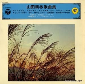 V/A Ĺ䫲ζʽ MS-1096-N