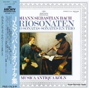 ॸƥ Хåϡȥꥪʥ 28MA0009