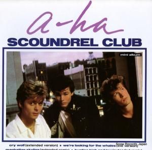 A-HA ɥ롦֡ʥߥˡХ P-6259